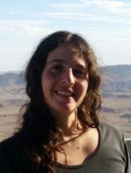 טל ויינר