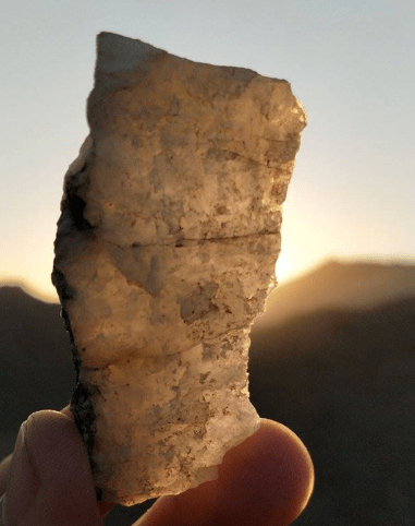 המחקר במכון