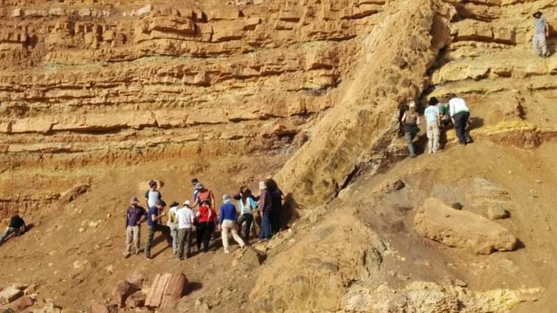 תלמידים בסיור