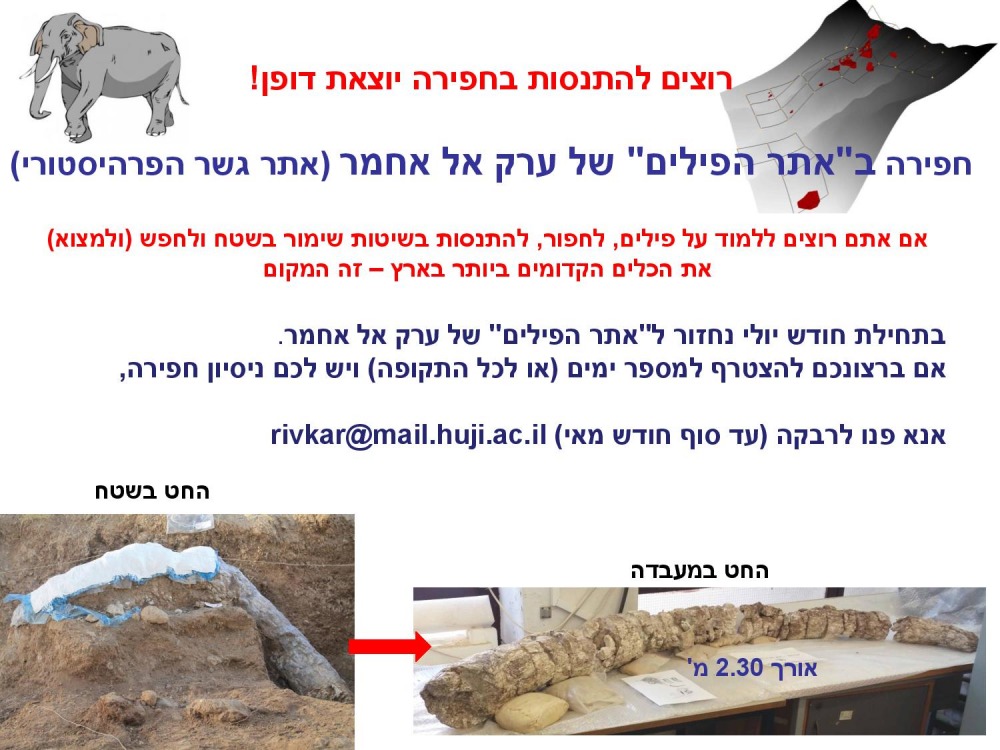 מודעה לחפירה בערק אל אחמר