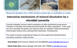 Research position for a phD student/post-doc