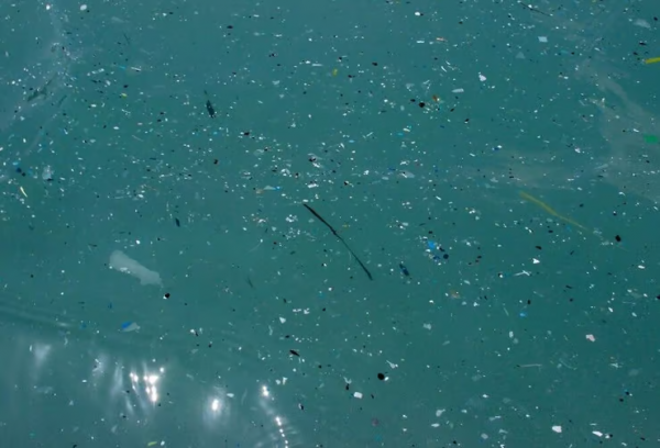 microplastic