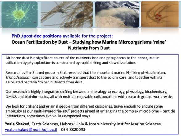 Research position for a phD student/post-doc Research position for a phD student/post-doc